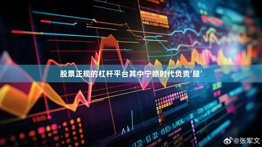 股票正规的杠杆平台其中宁德时代负责‘腿’