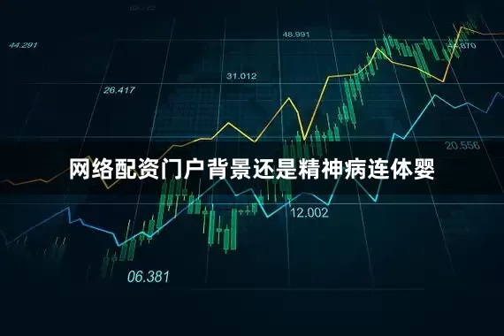 网络配资门户背景还是精神病连体婴