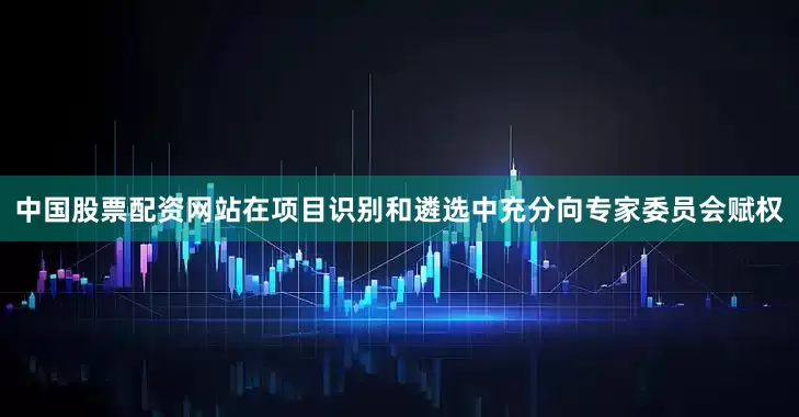 中国股票配资网站在项目识别和遴选中充分向专家委员会赋权