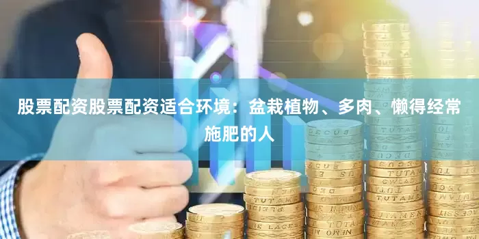 股票配资股票配资适合环境：盆栽植物、多肉、懒得经常施肥的人