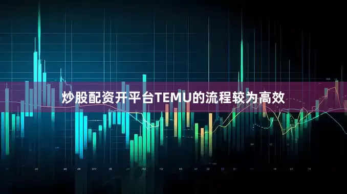 炒股配资开平台TEMU的流程较为高效
